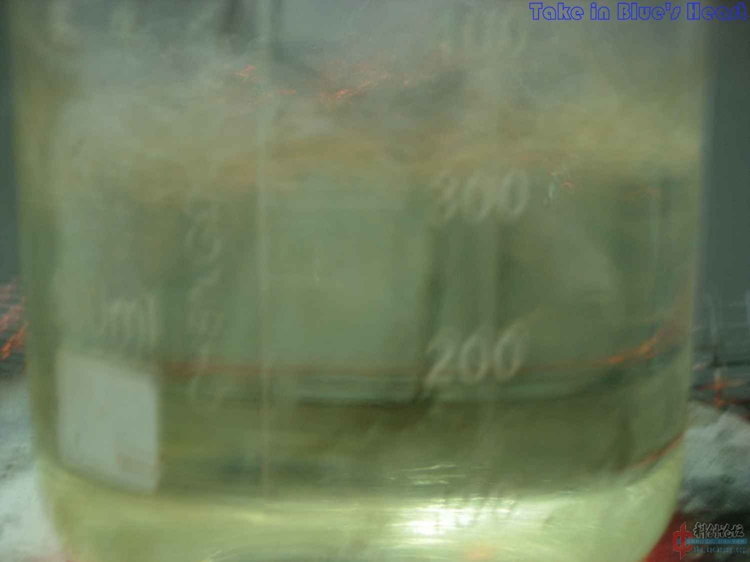 DSCN5251.jpg